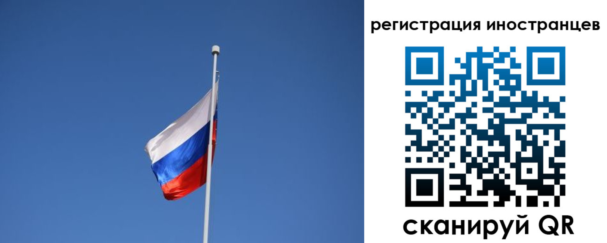 где прописаться в Ленинградской области